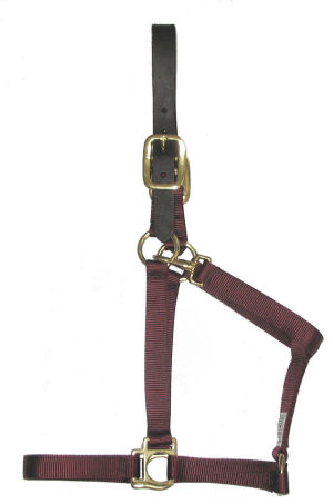 RM-LEATHERCROWNFP