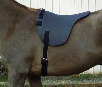 CS-barebackpad