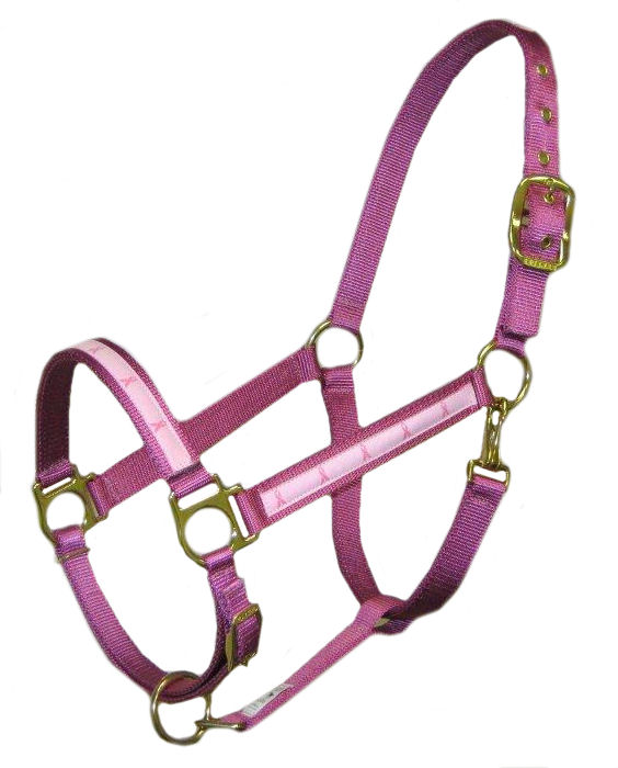 cancerribbon