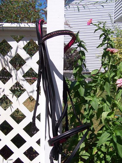 pinkbridle.JPG